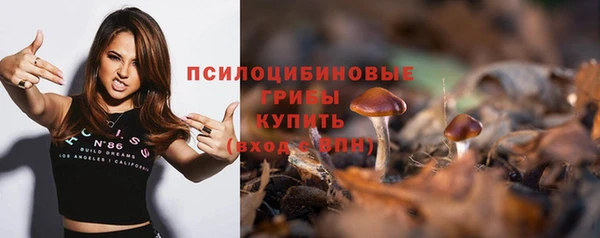 ПСИЛОЦИБИНОВЫЕ ГРИБЫ Зеленокумск