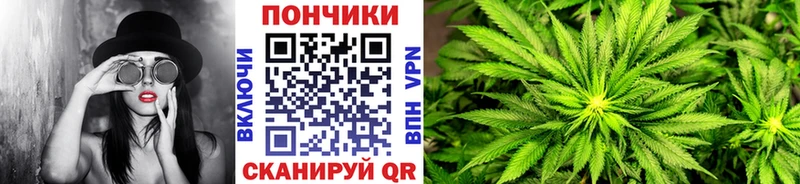 где найти   Ипатово  Шишки марихуана конопля 